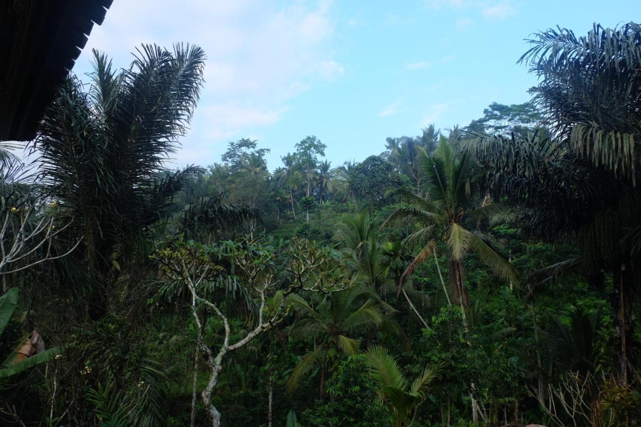 Gunung Kawi House Villa Tegallalang  Bagian luar foto