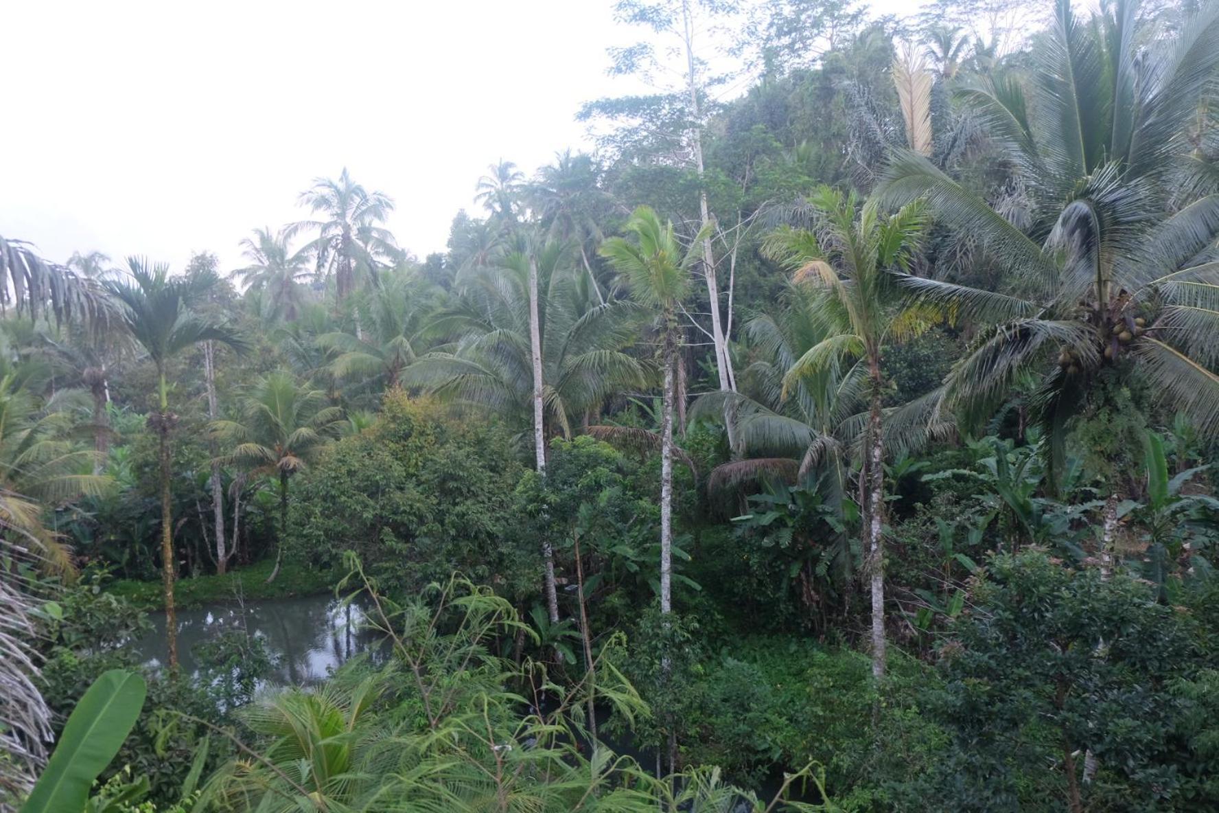 Gunung Kawi House Villa Tegallalang  Bagian luar foto