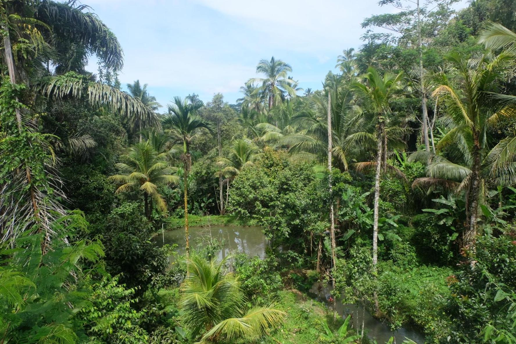 Gunung Kawi House Villa Tegallalang  Bagian luar foto