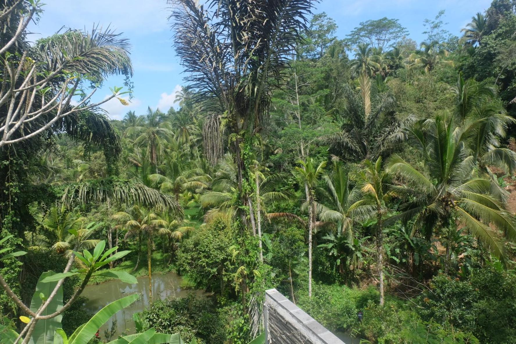 Gunung Kawi House Villa Tegallalang  Bagian luar foto